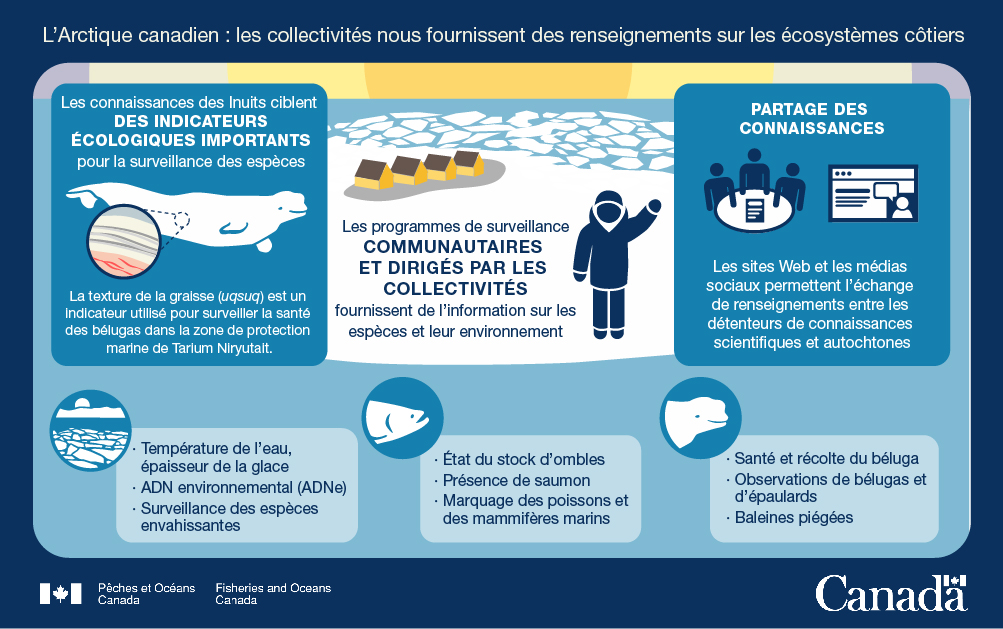 Infographie : Les collectivités nous fournissent des renseignements sur les écosystèmes côtiers